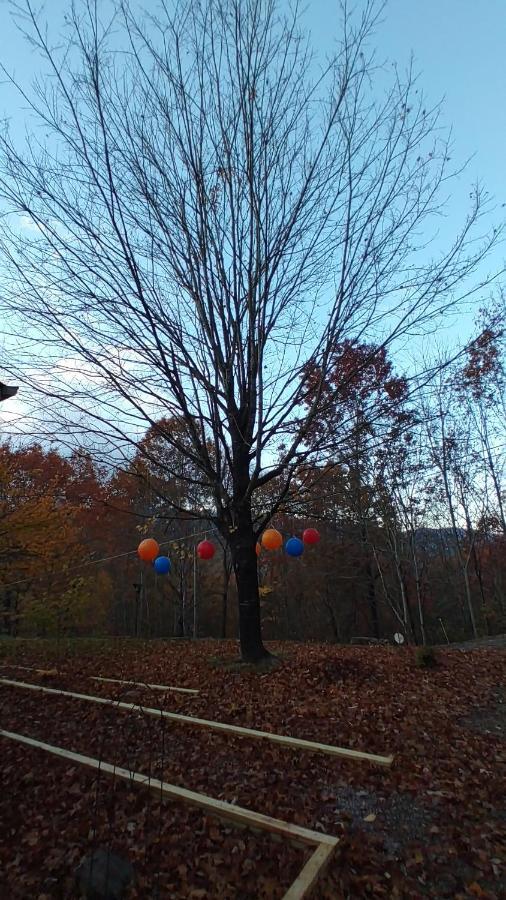 Up & Away! Mountain Cabin Andrews Exterior photo